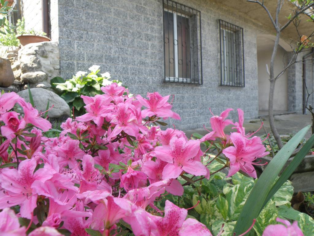 B&B Villa Mirella Casnate con Bernate Kültér fotó