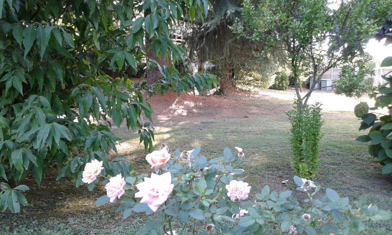B&B Villa Mirella Casnate con Bernate Kültér fotó